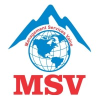 MSV International Logo